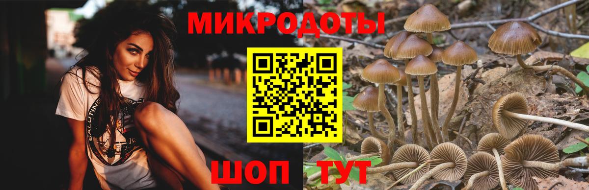 Галлюциногенные грибы ЛСД Крымск