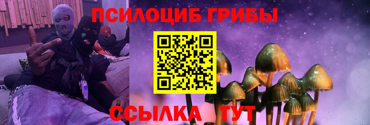где можно купить наркотик  Псилоцибиновые грибы Psilocybe  Крымск  Вход с VPN  Псилоцибиновые грибы ЛСД 